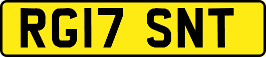 RG17SNT