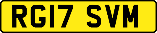 RG17SVM