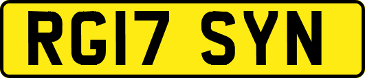 RG17SYN