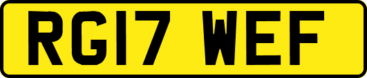 RG17WEF