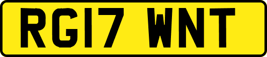 RG17WNT