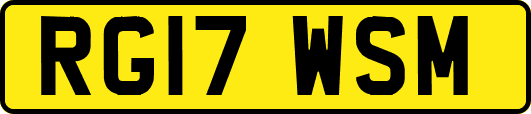 RG17WSM