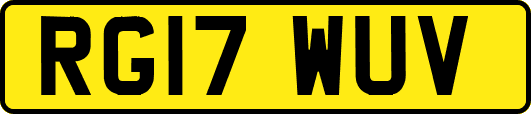 RG17WUV