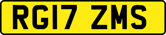RG17ZMS