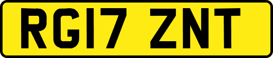 RG17ZNT