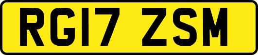 RG17ZSM