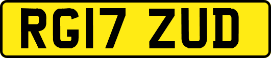 RG17ZUD
