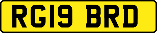 RG19BRD