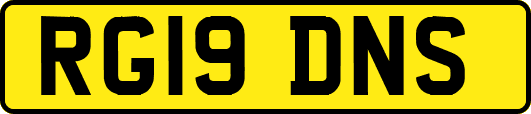 RG19DNS