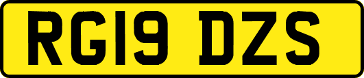 RG19DZS