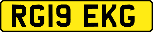 RG19EKG