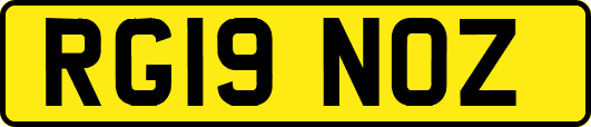 RG19NOZ