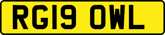 RG19OWL