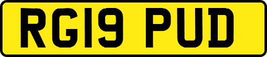 RG19PUD