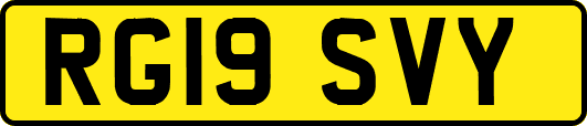 RG19SVY