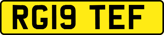 RG19TEF