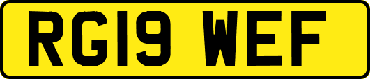 RG19WEF