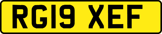 RG19XEF