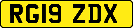 RG19ZDX