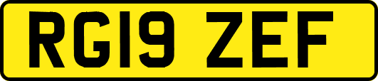 RG19ZEF