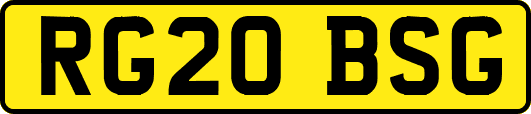 RG20BSG