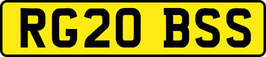 RG20BSS