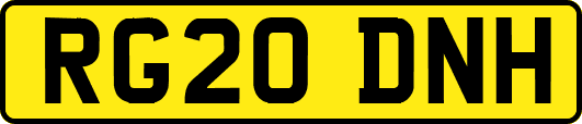 RG20DNH
