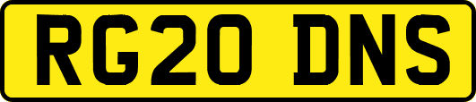 RG20DNS