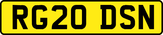 RG20DSN