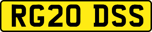 RG20DSS