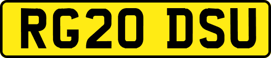 RG20DSU