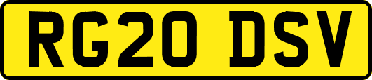RG20DSV