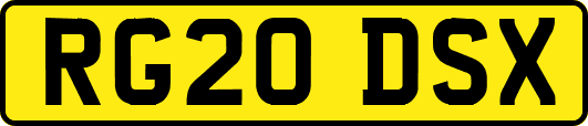 RG20DSX