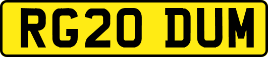 RG20DUM