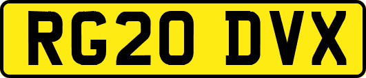 RG20DVX