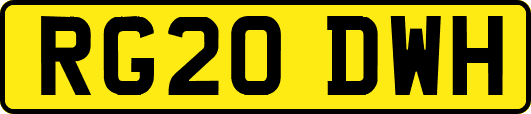 RG20DWH