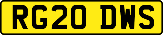 RG20DWS