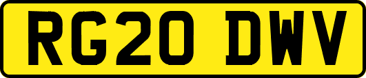RG20DWV