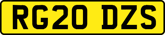 RG20DZS