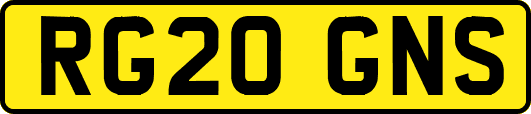 RG20GNS