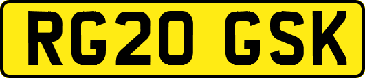 RG20GSK