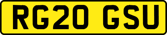 RG20GSU