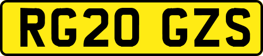 RG20GZS
