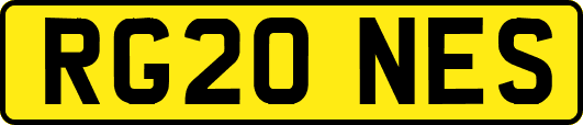 RG20NES