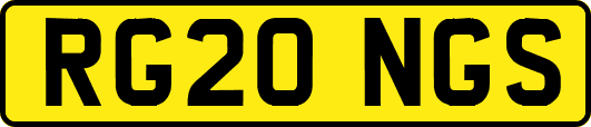 RG20NGS