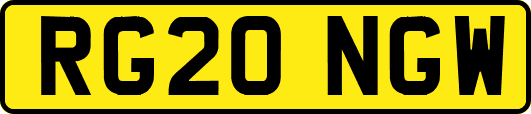 RG20NGW