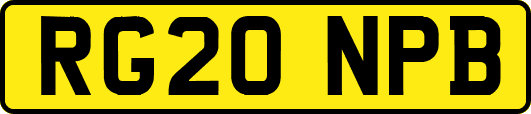 RG20NPB