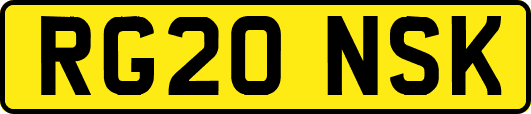 RG20NSK
