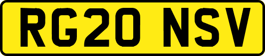 RG20NSV
