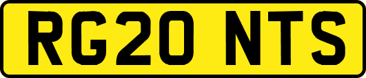 RG20NTS